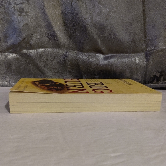 The Big Burn. By Timothy Egan. Mariner Books - Picture 7 of 7